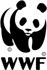 “WWF Climate Wall – Mettici la faccia”